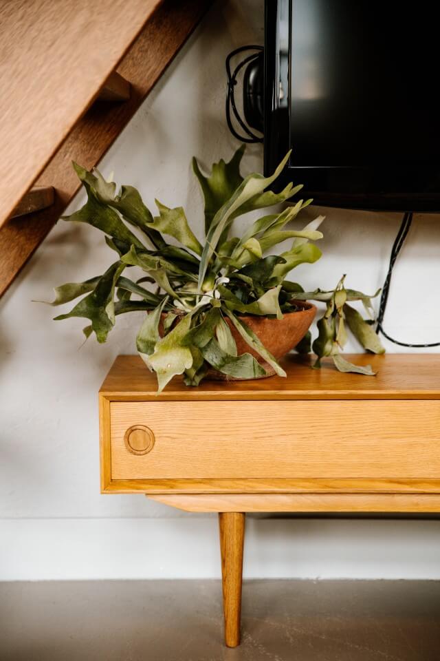 Plant op kastje onder trap