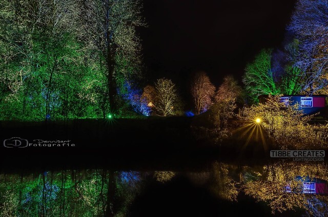 Verlichte bomen weerspiegeld