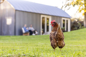 Fort aan de Klop IVB 7745